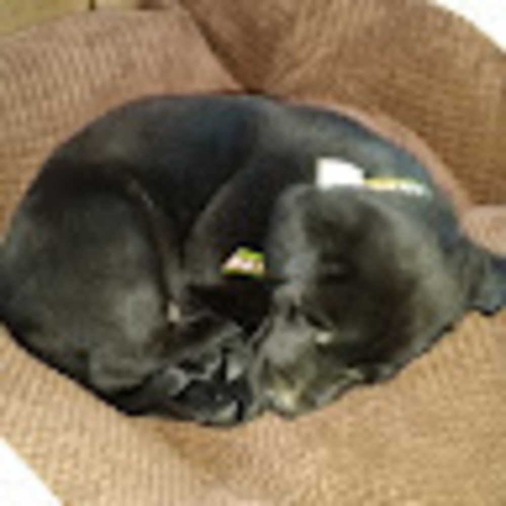 Meet your Posher, Leighanna